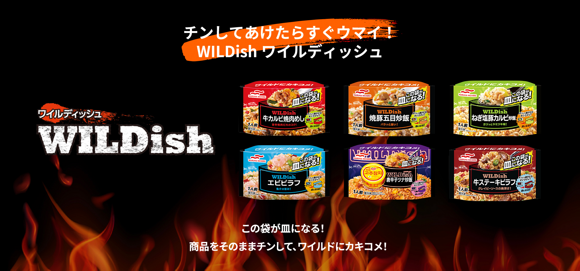 チンしてあけたらすぐウマイ！WILDishワイルディッシュ